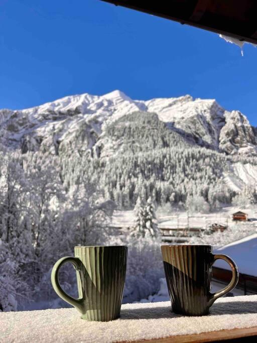 Peacefull Mountains View Apartment Kandersteg Exterior photo